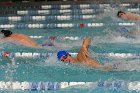 Swimming vs Bentley  Wheaton College Swimming vs Bentley. - Photo By: KEITH NORDSTROM : Wheaton, Swimming, Bentley